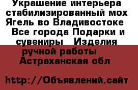 Украшение интерьера стабилизированный мох Ягель во Владивостоке - Все города Подарки и сувениры » Изделия ручной работы   . Астраханская обл.